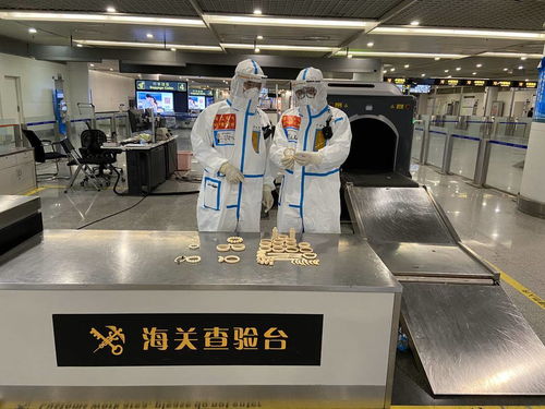 警惕！回蓉旅客攜帶象牙手鐲被成都海關查獲，教學模型制造需守法規