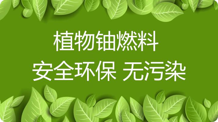 植物油燃料是國家認(rèn)可的一個新能源項目,植物油燃料很有市場的
